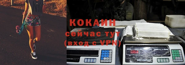 дживик Дмитриев