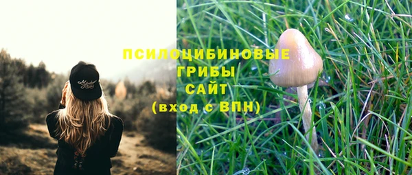 дживик Дмитриев